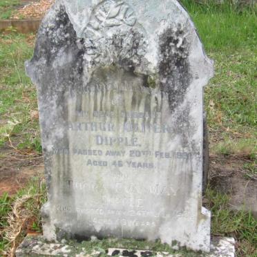 DIPPLE Arthur Oliver -1961 &amp; Thora Eva May -1988