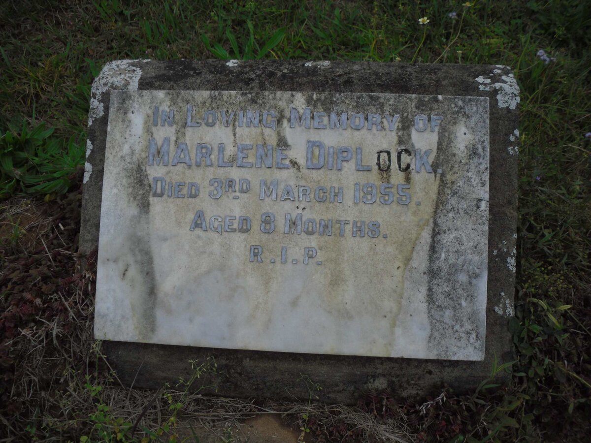 DIPLOCK Marlene -1955