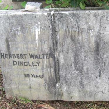 DINGLEY Herbert Walter -1960