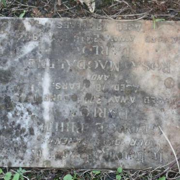 DARLOW George Philip -1949 &amp; Rosa Magdalene -1954