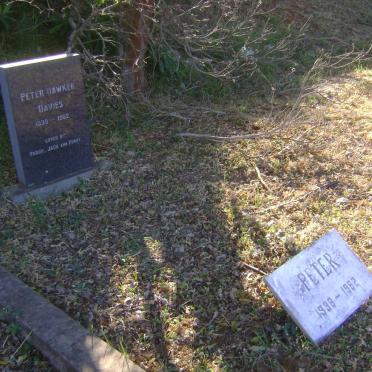 DAVIES Peter Hawker 1939-1962