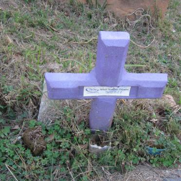 DLAMINI Mbali Nobuhle 1981-2015