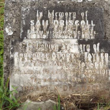 DRISCOLL Sam -1925 :: TAYLER Andrew -1917 :: TAYLER Alex -1917