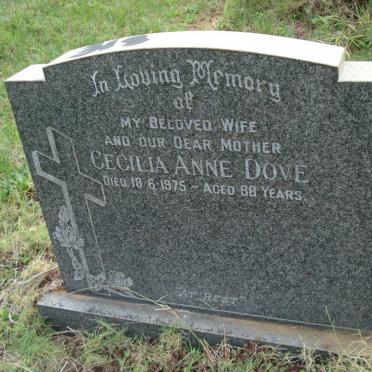 DOVE Cecilia Anne -1975