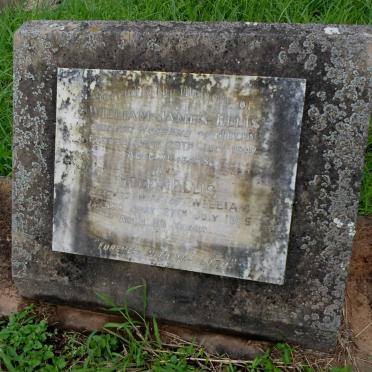 ELLIS William James -1947 &amp; Helen -1965