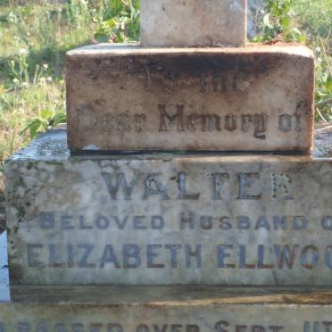 ELLWOOD Walter -1925