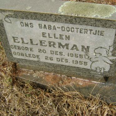 ELLERMAN Ellen 1955-1955