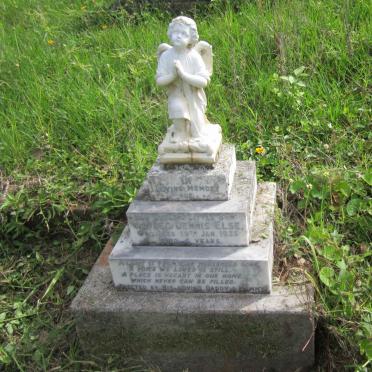 ELSE Alfred Dennis -1935