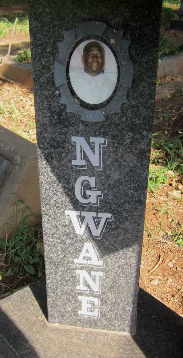 ERASMUS Mfanufikile Ngwane 1970-2013