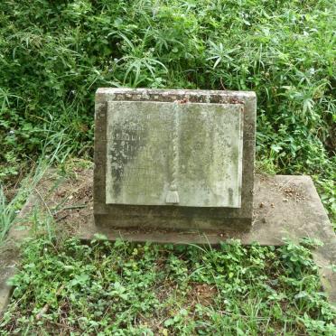 ENGLISH Elizabeth Constable -1953