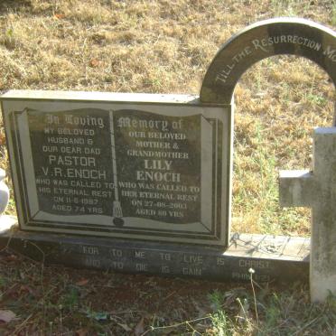 ENOCH V.R. -1987 &amp; Lily -2003