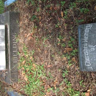 FIELDING Reginald Campbell -1938 &amp; Norah Elizabeth 1882-1971 :: FIELDING Bob 1914-1975