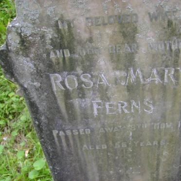 FERNS Rosa Mary -1952