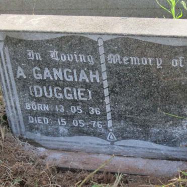 GANGIAH A. 1936-1976