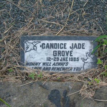 GROVE Candice Jade -1985