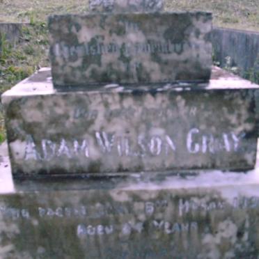 GRAY Adam Wilson -1930