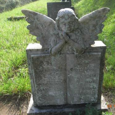 GRADWELL Barbara Anne -1958