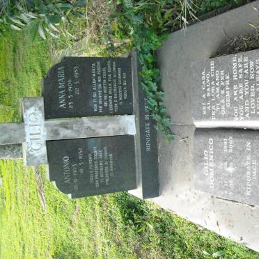 GILIO Antonio 1903-1952 &amp; Anna Maria 1906-1983 :: GILIO Domenico 1931-2007 