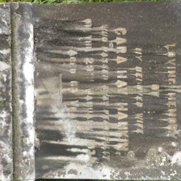 HANKIN Cara Hay -1934