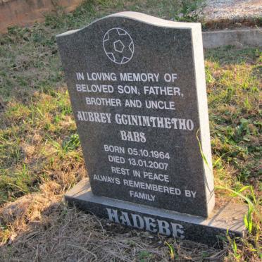 HADEBE Aubrey Gcinimthetho 1964-2007