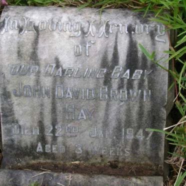 HAY John David Brown -1947