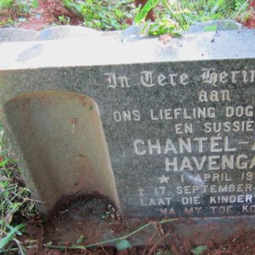 HAVENGA Chantel-Ann 1987-1988