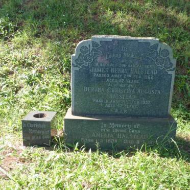 HALSTEAD Amelia 1888-1974 :: HALSTEAD James Henry -1962 &amp; Bertha Christina Augusta -1957