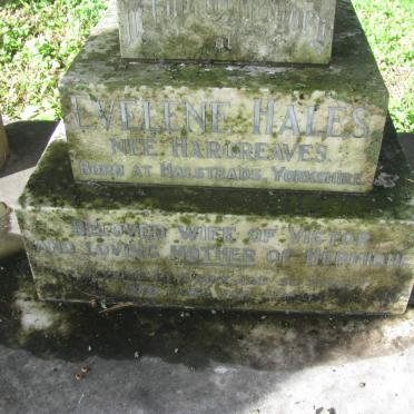 HALES Victor Cyril -1961 &amp; Evelene HARGREAVES -1953 :: PITCHER Hermione Mary Seaton nee HALES -1981