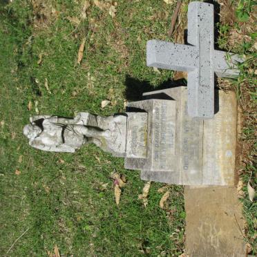 HAUPT Desmond Raymond 1931-1982 :: HAUPT Hilton Christopher -1965