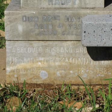 HAUPT Desmond Raymond 1931-1982 :: HAUPT Hilton Christopher -1965