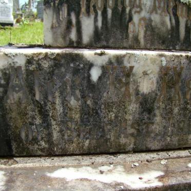 HARTLEY Alexander Holmes -1910