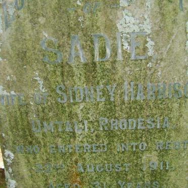 HARRISON Sadie -1911