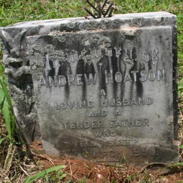 HOATSON Andrew -1950