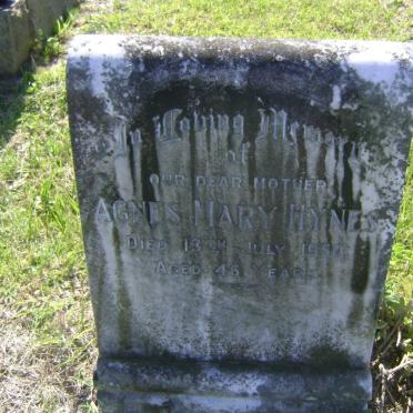 HYNES Agnes Mary -1950