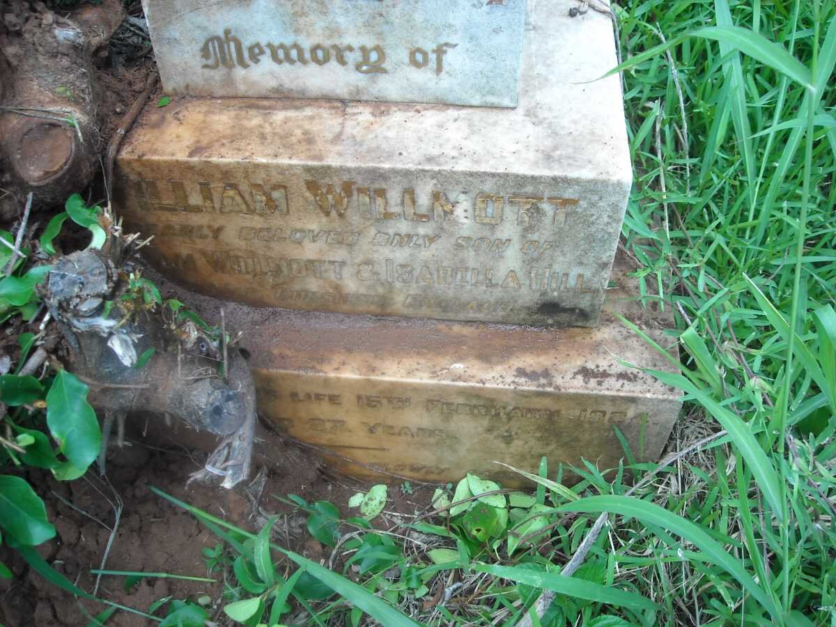 HILL William Willmott -1924