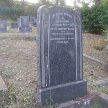 HITTLER Antoine -1952 