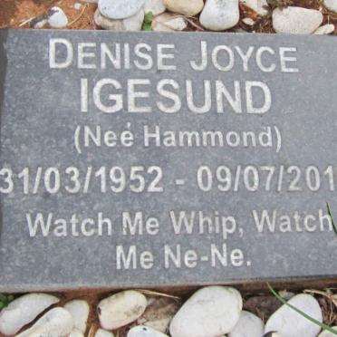 Ig - Surnames : Vanne - Ig