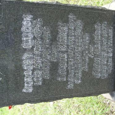 Il - Vanne : Surnames - Il