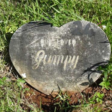 JACOBS Jacobus van Dyk - 1976