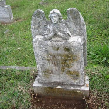 JACOBS Edward John -1948 &amp; EVA -1951 :: JACOBS Robert Henry -1968 :: JACOBS Alexander Richard -1973