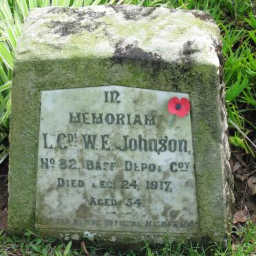 JOHNSON W.E. -1917
