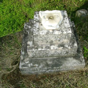 JOUBERT Joey 1908-1968 &amp; P.H. 1907-1968 :: JOUBERT Annie Susan -1929