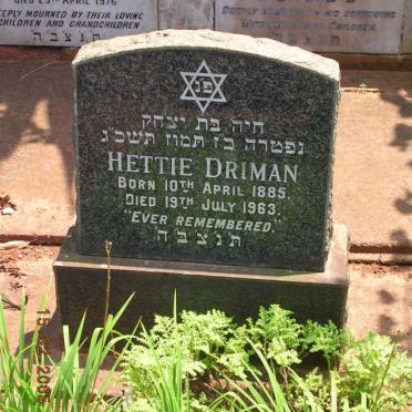 D - Vanne :: Surnames - D