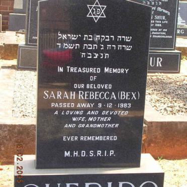 Q - Surnames :: Vanne - Q