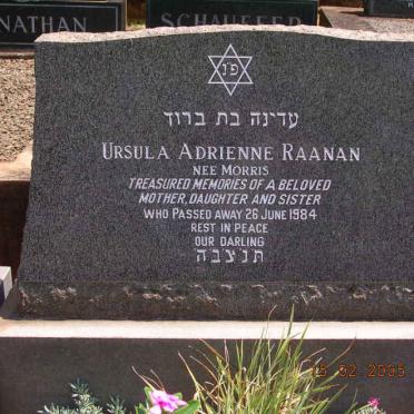 RAANAN Ursula Adrienne nee MORRIS -1984