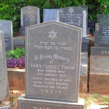 T - Vanne :: Surnames - T