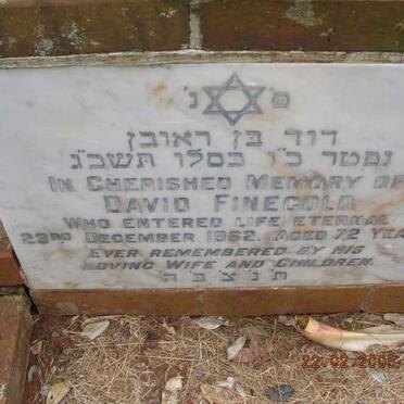 FINEGOLD David -1962