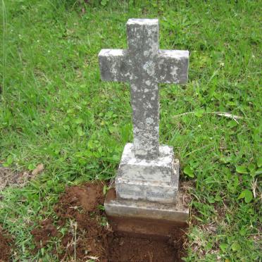 KRAMER Walter 1931-1931 