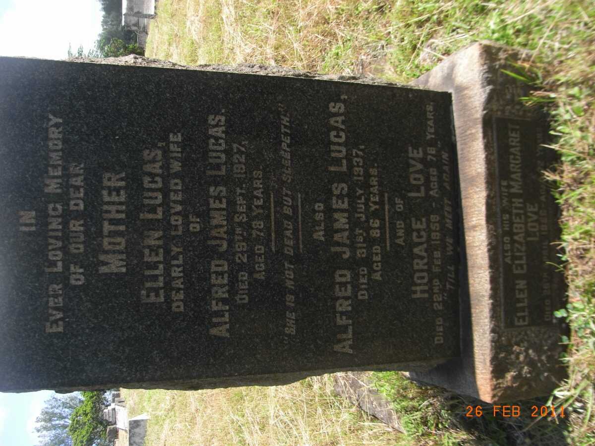 LUCAS Alfred James -1937 &amp; Ellen -1927 :: LOVE Horace -1958