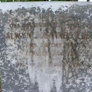 LUBBE Alwyn Johannes 1913-1937